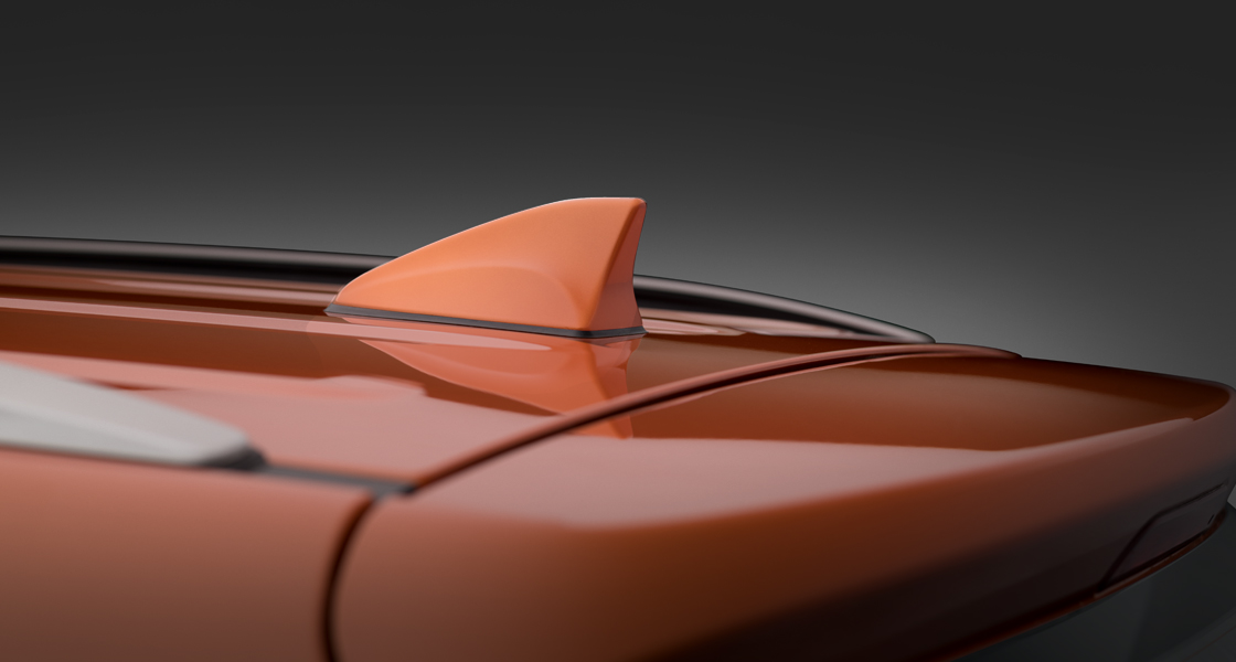 Rear skid plates